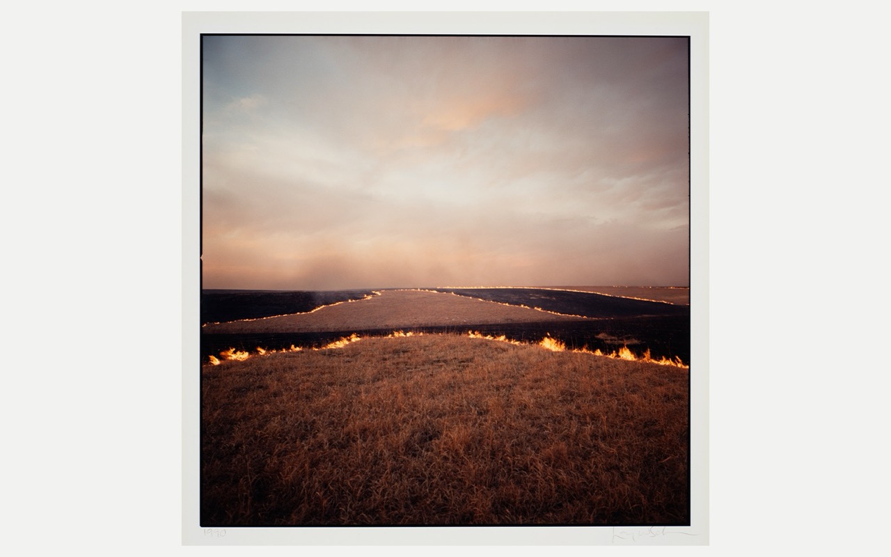 Grassland with controlled fire lines under a soft, cloudy sky during sunset.